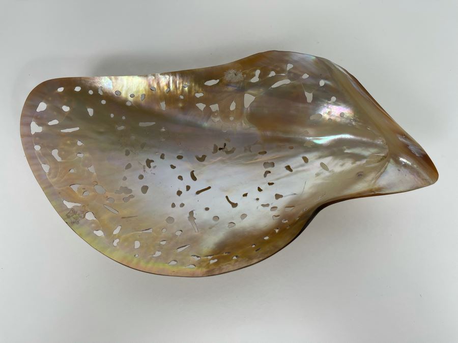 Intricately Carved Organic Abalone Shell Featuring Various Fish And Sea Turtle 8W X 4D X 1.5H [Photo 14]