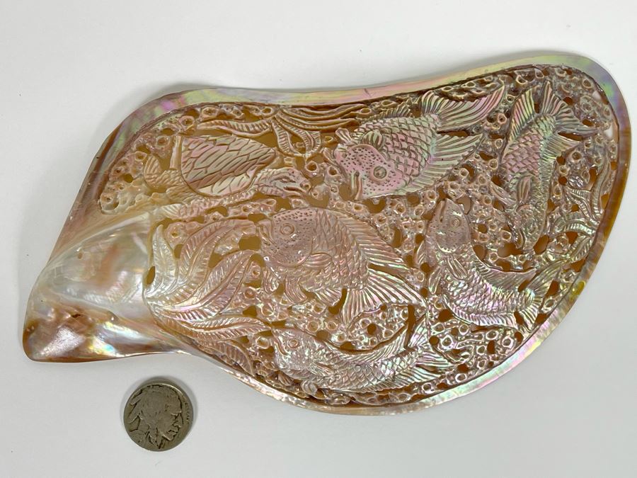 Intricately Carved Organic Abalone Shell Featuring Various Fish And Sea Turtle 8W X 4D X 1.5H [Photo 3]