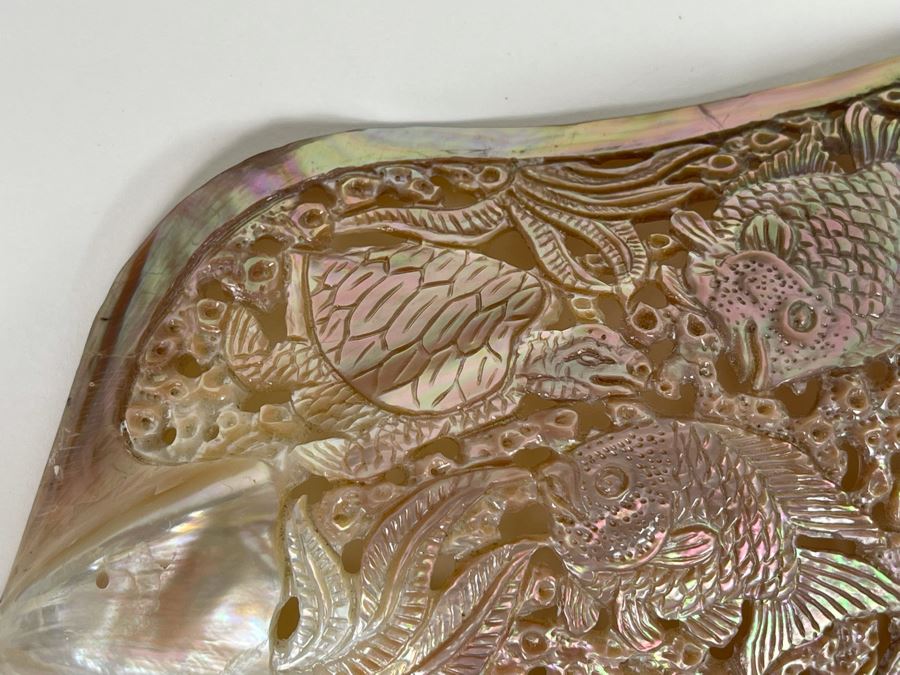 Intricately Carved Organic Abalone Shell Featuring Various Fish And Sea Turtle 8W X 4D X 1.5H [Photo 7]