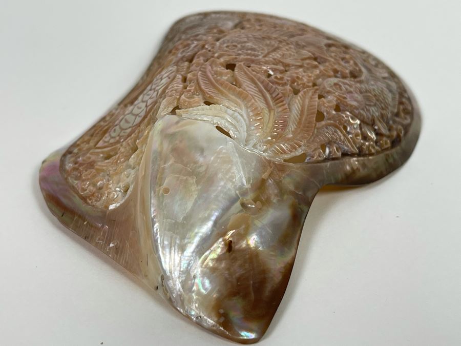 Intricately Carved Organic Abalone Shell Featuring Various Fish And Sea Turtle 8W X 4D X 1.5H [Photo 18]