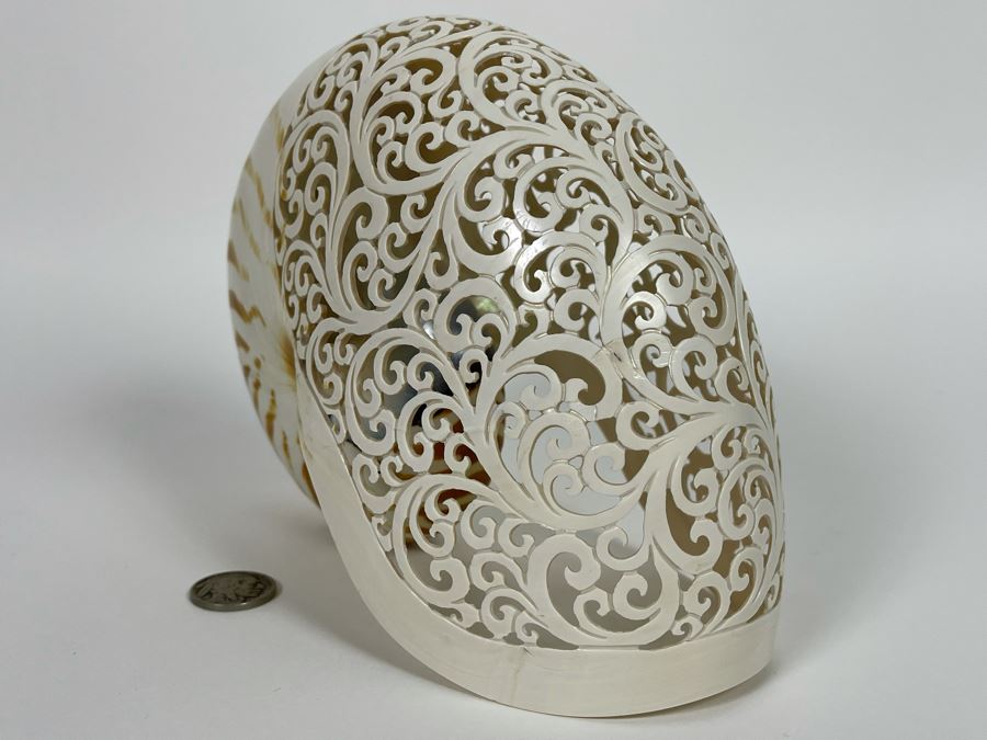 Elegantly Carved Organic Seashell 7W X 3.5D X 5.5H [Photo 6]