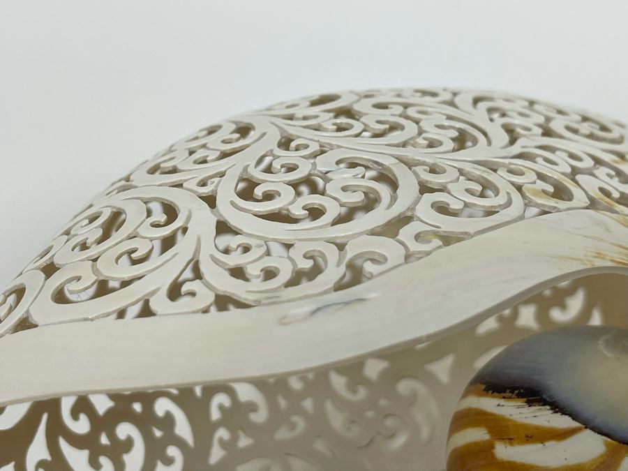 Elegantly Carved Organic Seashell 7W X 3.5D X 5.5H [Photo 14]