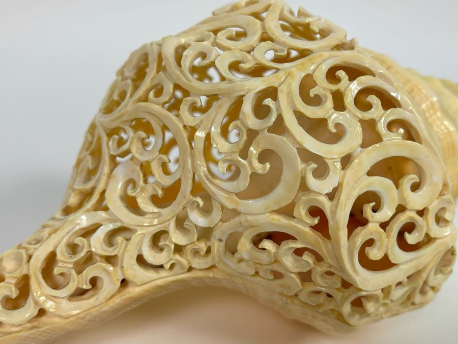 Elegantly Carved Organic Seashell 11W X 5.5D X 4H [Photo 11]