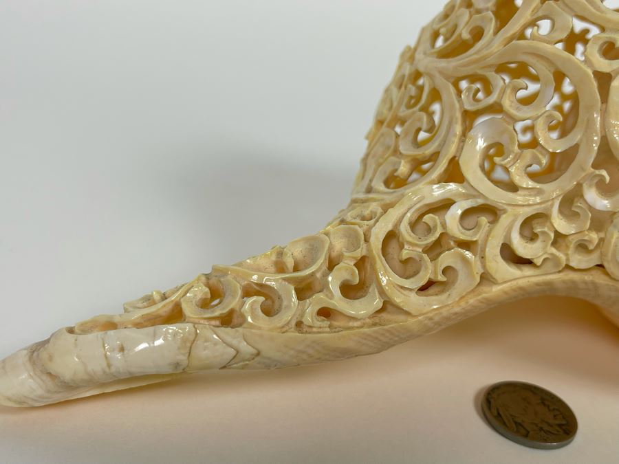Elegantly Carved Organic Seashell 11W X 5.5D X 4H [Photo 12]