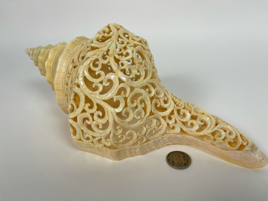 Elegantly Carved Organic Seashell 11W X 5.5D X 4H [Photo 3]