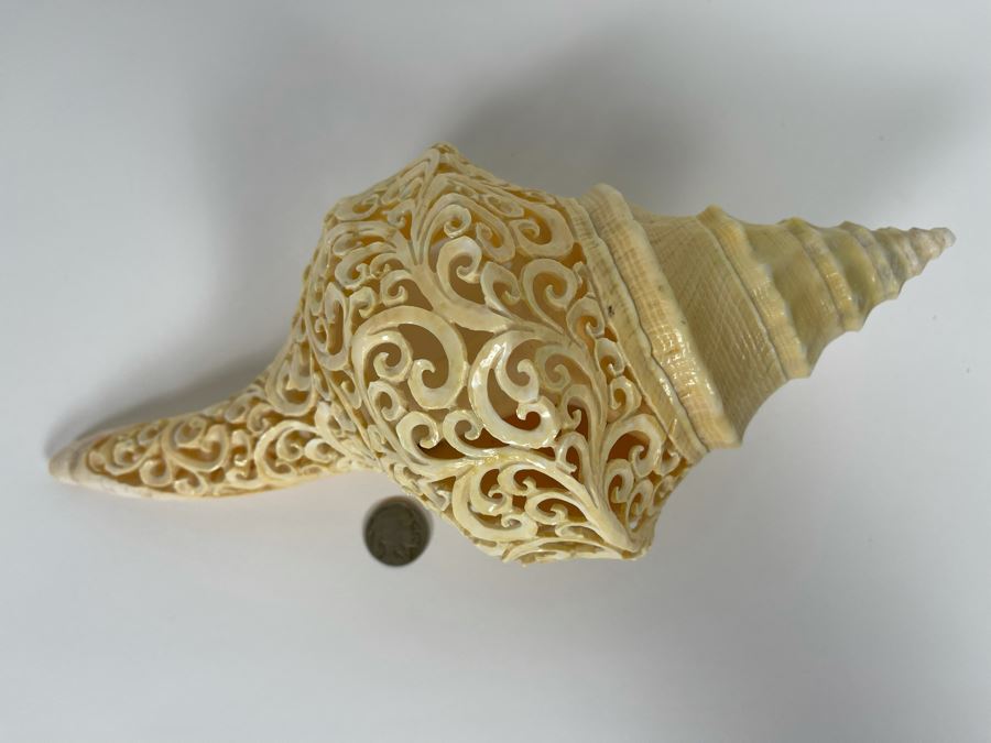 Elegantly Carved Organic Seashell 11W X 5.5D X 4H [Photo 13]