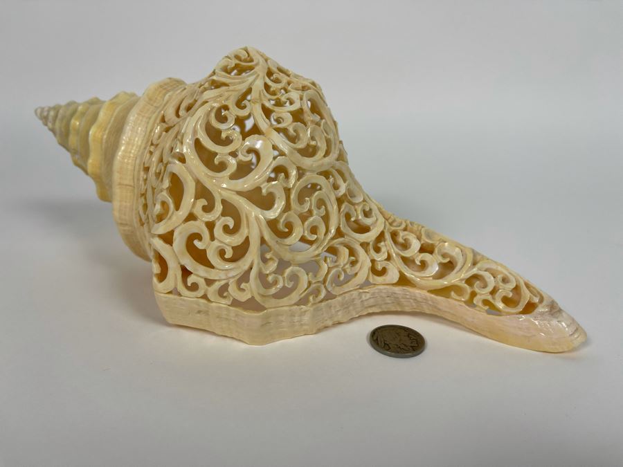 Elegantly Carved Organic Seashell 11W X 5.5D X 4H [Photo 2]