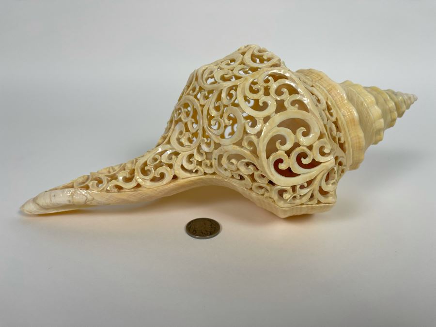 Elegantly Carved Organic Seashell 11W X 5.5D X 4H [Photo 8]