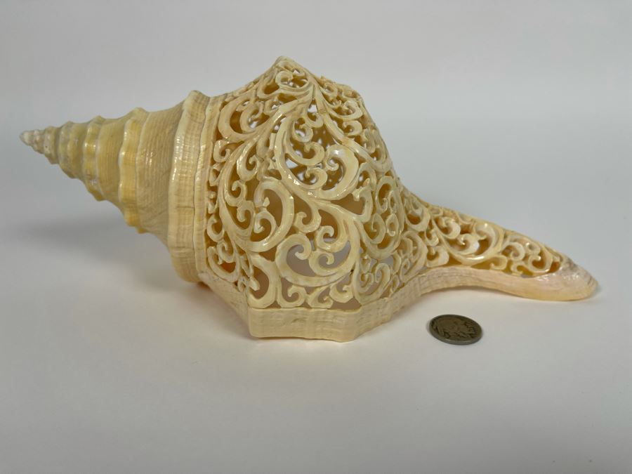 Elegantly Carved Organic Seashell 11W X 5.5D X 4H [Photo 4]