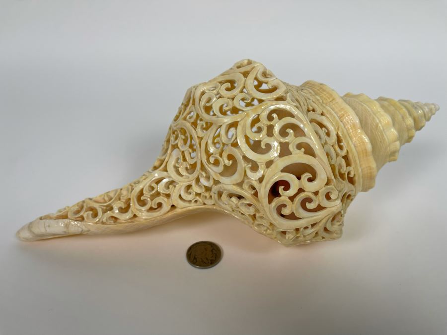 Elegantly Carved Organic Seashell 11W X 5.5D X 4H [Photo 10]