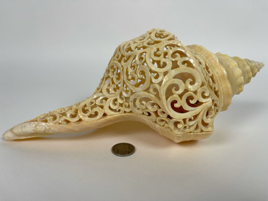 Elegantly Carved Organic Seashell 11W X 5.5D X 4H [Photo 9]