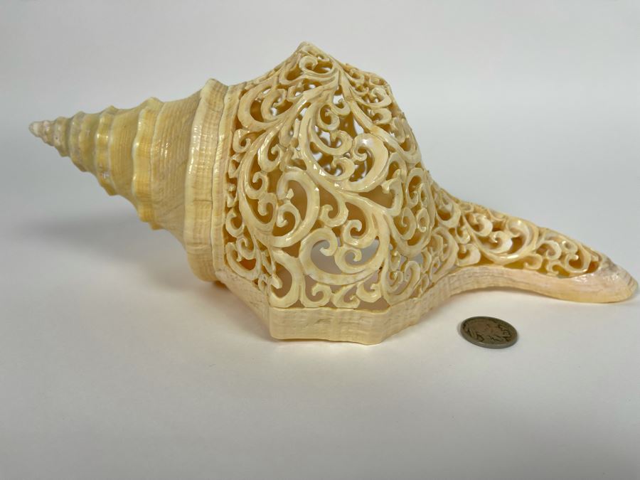 Elegantly Carved Organic Seashell 11W X 5.5D X 4H [Photo 6]