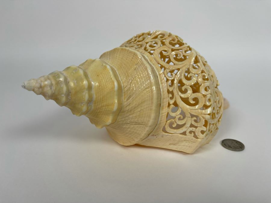 Elegantly Carved Organic Seashell 11W X 5.5D X 4H [Photo 7]