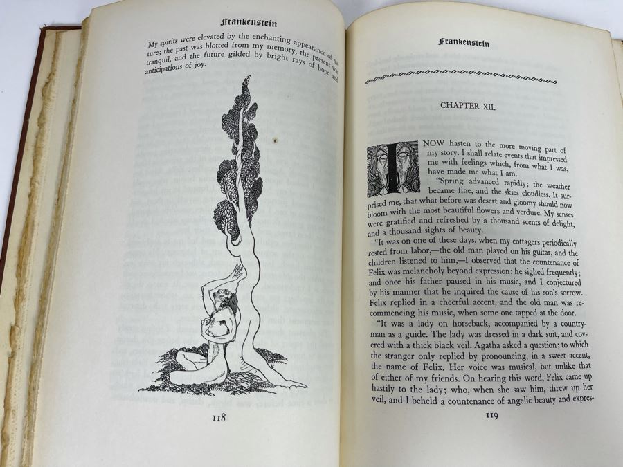 Vintage 1932 Frankenstein Or The Modern Prometheus Hardcover Book With Illustrations By Nino Carbe Deluxe Editions [Photo 21]