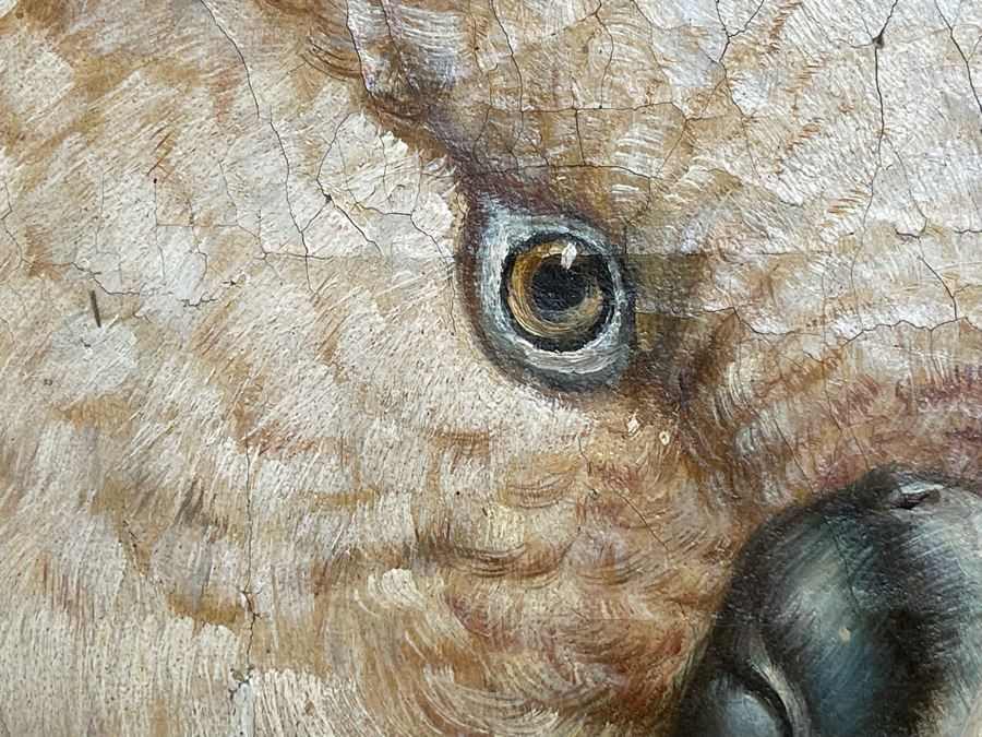 Parrot Painting In Fancy Gilt Wooden Frame 49W X 38H [Photo 8]