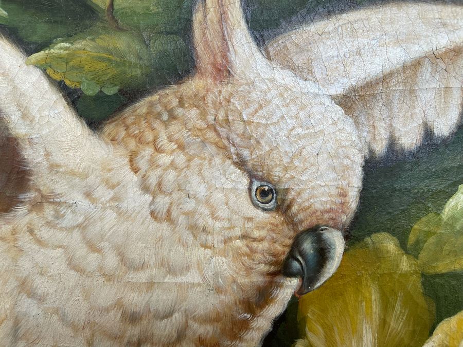 Parrot Painting In Fancy Gilt Wooden Frame 49W X 38H [Photo 7]