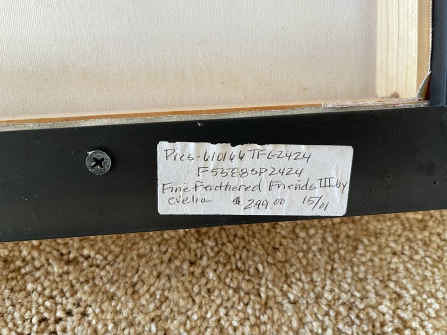 Framed Fine Feathered Friends III Canvas Print By Evelia 25.5W X 25.5H Retails $299 [Photo 6]