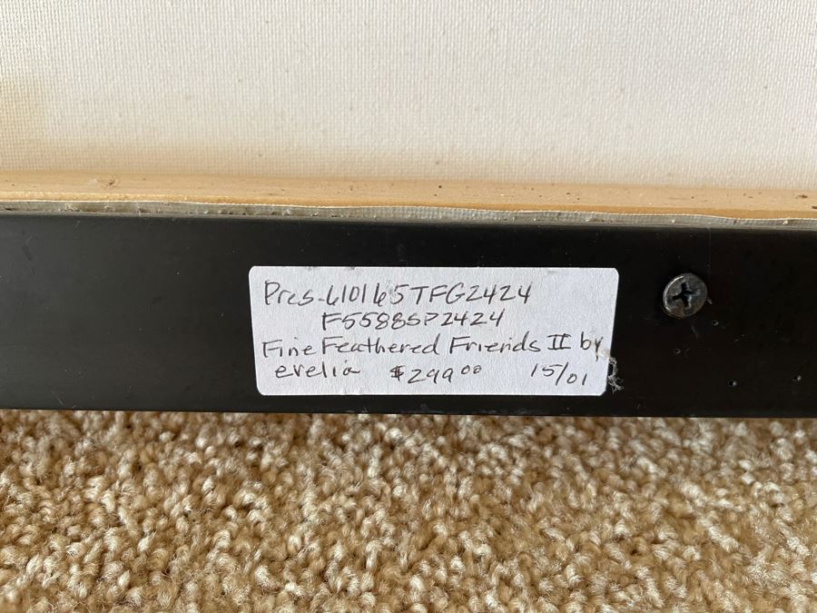 Framed Fine Feathered Friends II Canvas Print By Evelia 25.5W X 25.5H Retails $299 [Photo 5]