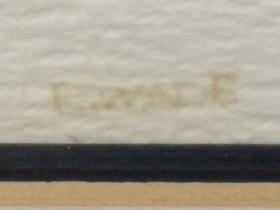 R. Wade Watercolor [Photo 5]