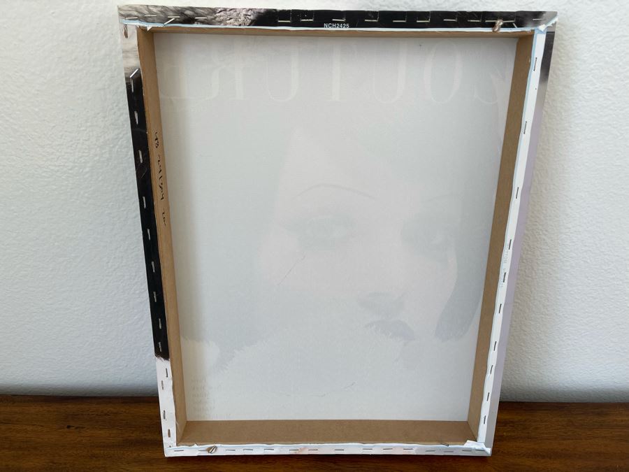 Vintage Couture Canavs Model Print 16 X 20 [Photo 4]