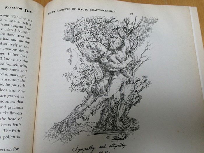 Salvador Dali Book 50 Secrets of Magic Craftmanship 1948 [Photo 40]