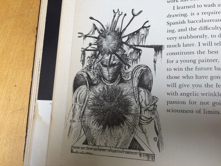 Salvador Dali Book 50 Secrets of Magic Craftmanship 1948 [Photo 53]