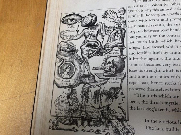 Salvador Dali Book 50 Secrets of Magic Craftmanship 1948 [Photo 37]