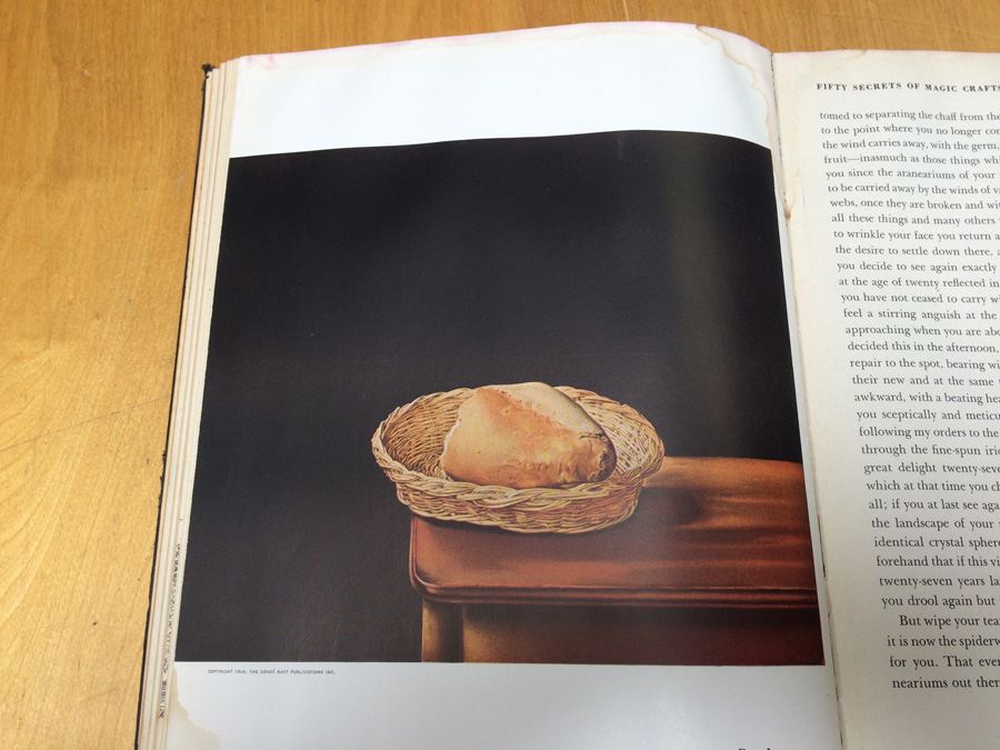 Salvador Dali Book 50 Secrets of Magic Craftmanship 1948 [Photo 49]