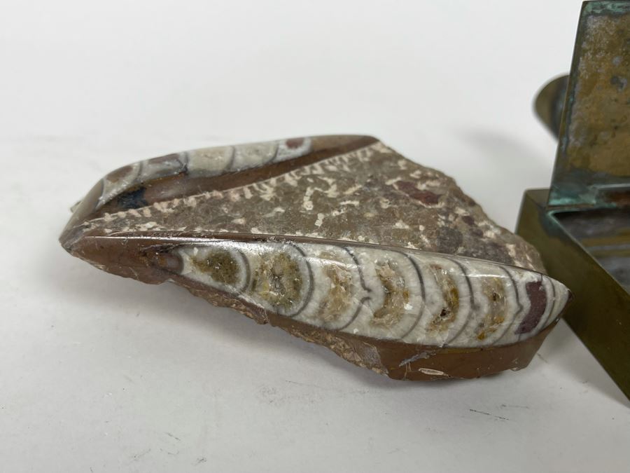 Old Fossil And Vintage Chinese Brass Butler Crumb Catcher [Photo 4]