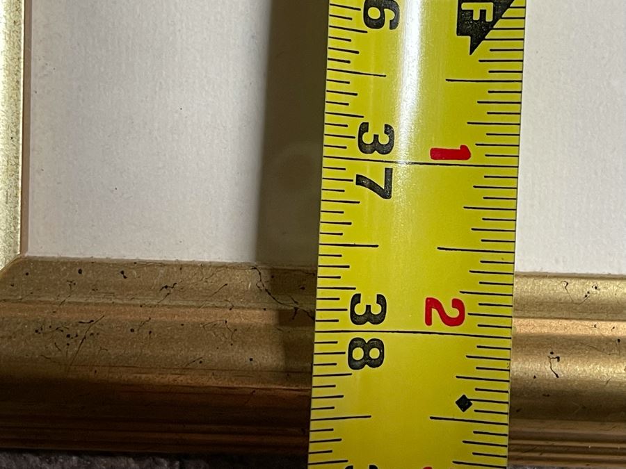 Original Chinese Painting By Julia Zhuying Chu 20W X 37.5H [Photo 10]