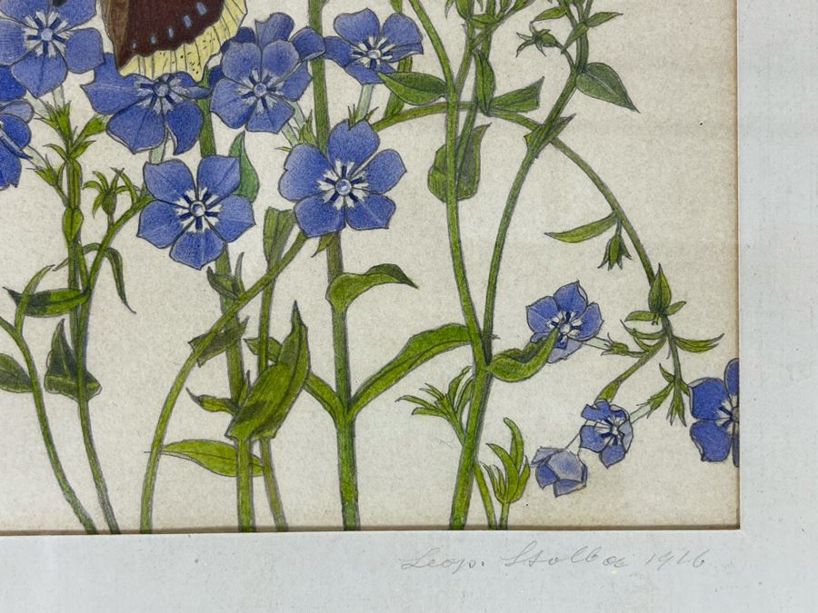 Leopold Stolba (1863-1929) Original Butterfly Drawing Artwork On Paper Signed On Mat 1916 Framed 6W X 7.5H [Photo 7]