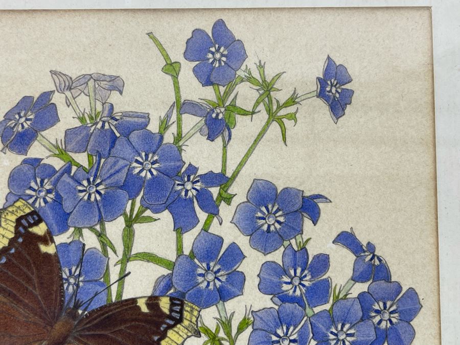 Leopold Stolba (1863-1929) Original Butterfly Drawing Artwork On Paper Signed On Mat 1916 Framed 6W X 7.5H [Photo 6]