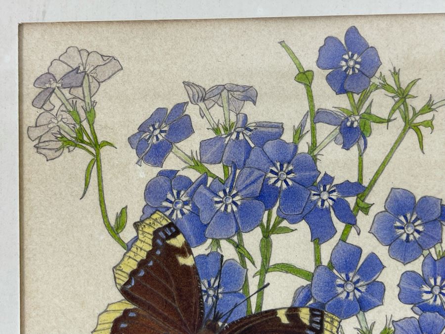 Leopold Stolba (1863-1929) Original Butterfly Drawing Artwork On Paper Signed On Mat 1916 Framed 6W X 7.5H [Photo 5]