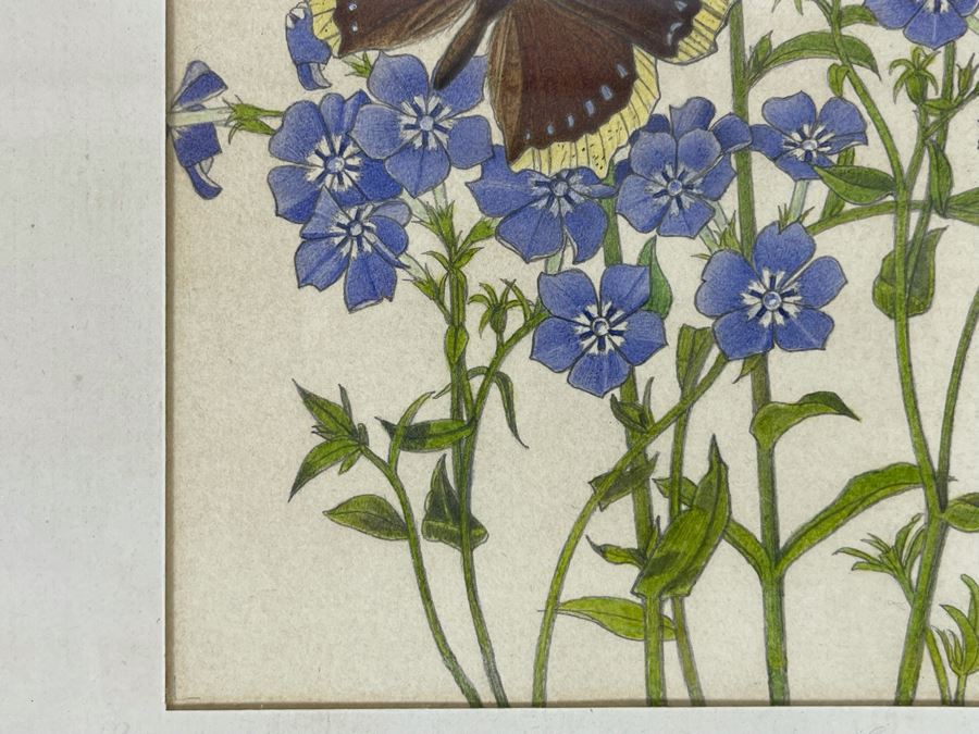 Leopold Stolba (1863-1929) Original Butterfly Drawing Artwork On Paper Signed On Mat 1916 Framed 6W X 7.5H [Photo 8]