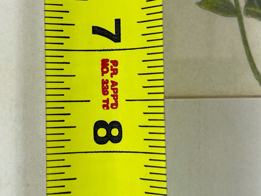 Leopold Stolba (1863-1929) Original Butterfly Drawing Artwork On Paper Signed On Mat 1916 Framed 6W X 7.5H [Photo 16]