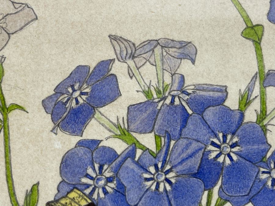 Leopold Stolba (1863-1929) Original Butterfly Drawing Artwork On Paper Signed On Mat 1916 Framed 6W X 7.5H [Photo 11]