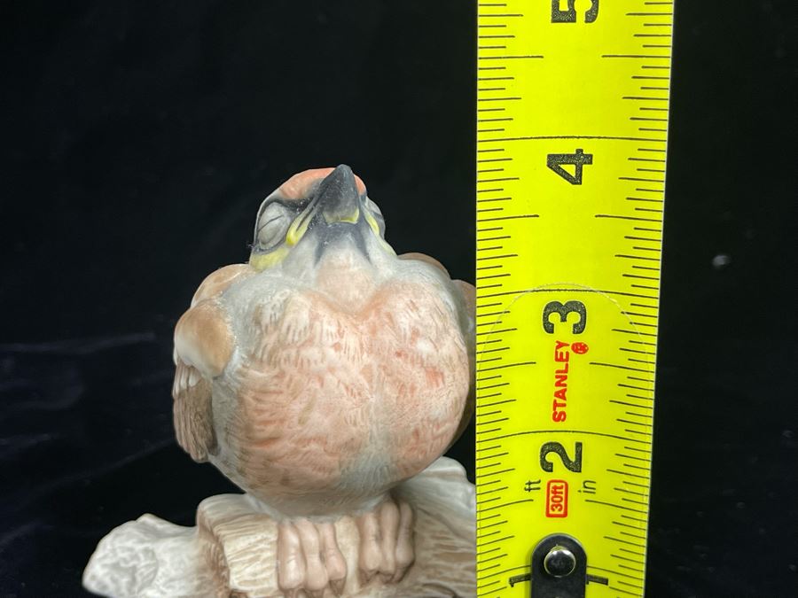 Boehm Porcelain Figurine Titled 'Fledgling Red Poll' 4H [Photo 6]