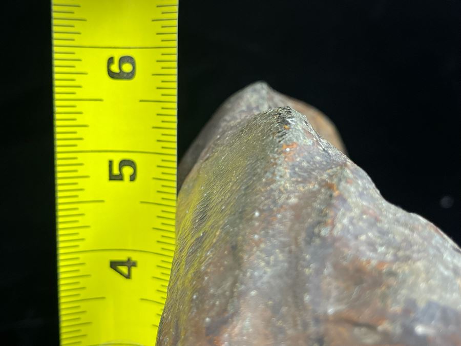 Vintage Hand Painted Asian Metal Tiger Sculpture 12W X 6D X 5.5H [Photo 24]