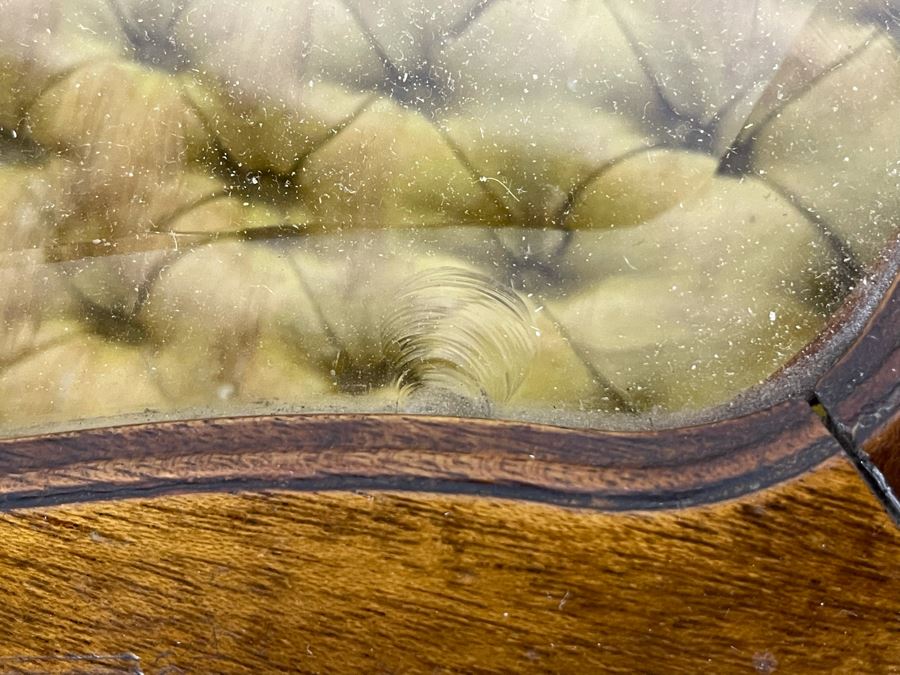 Beautiful Wooden French Louis XV Vitrine Side Table With Ormolu Mounts Hinged Glass Top Lockable With Key (Slight Chip In Beveled Glass Top) 18.5W X 14D X 28H [Photo 14]