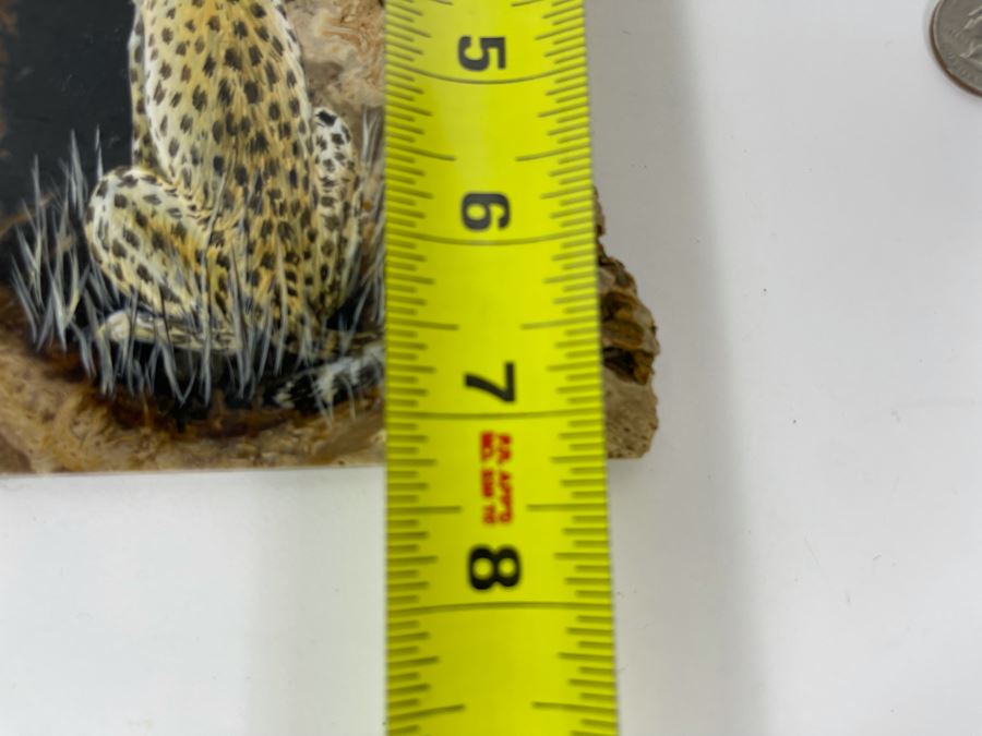 Hand Painted Fossilized Tree Of Cheetah Signed Ann Parker 1979 5.5W X 7.25H [Photo 14]