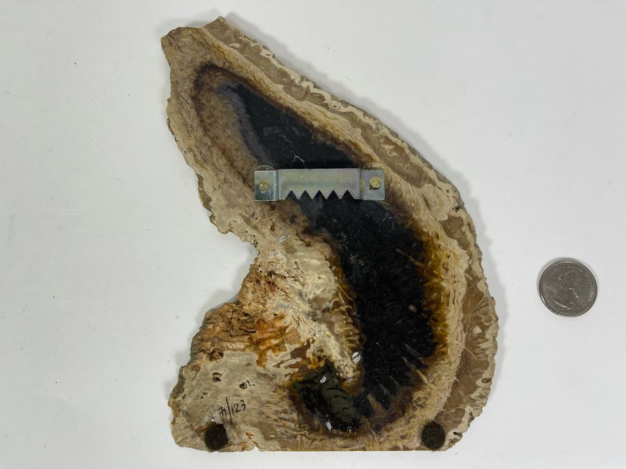 Hand Painted Fossilized Tree Of Cheetah Signed Ann Parker 1979 5.5W X 7.25H [Photo 12]