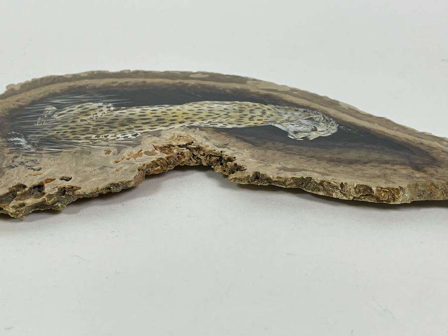 Hand Painted Fossilized Tree Of Cheetah Signed Ann Parker 1979 5.5W X 7.25H [Photo 11]