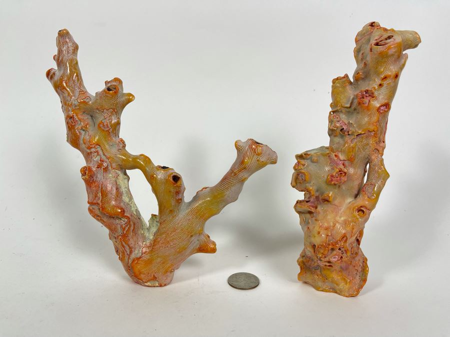 Pair Of Real Organic Pink Coral Sculptures Pieces [Photo 2]