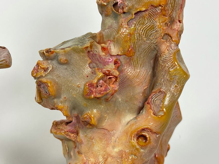 Pair Of Real Organic Pink Coral Sculptures Pieces [Photo 7]