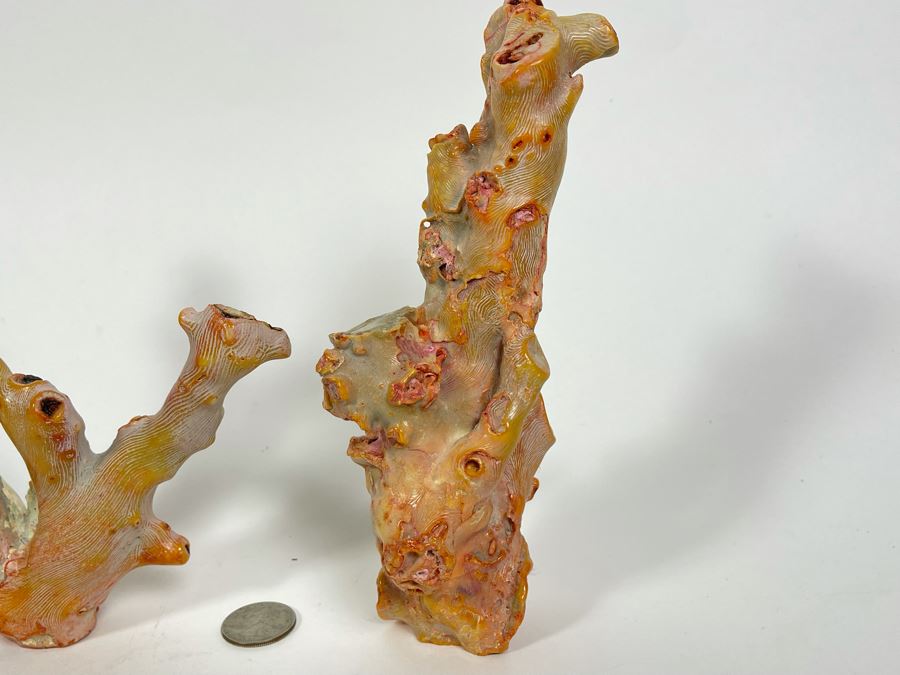 Pair Of Real Organic Pink Coral Sculptures Pieces [Photo 6]