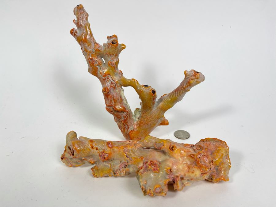 Pair Of Real Organic Pink Coral Sculptures Pieces [Photo 4]