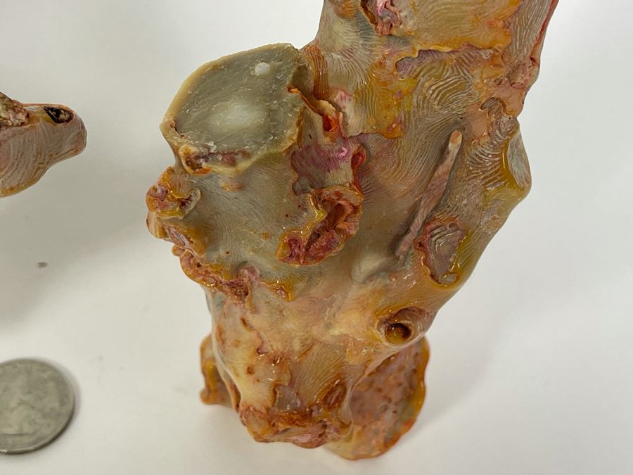 Pair Of Real Organic Pink Coral Sculptures Pieces [Photo 8]