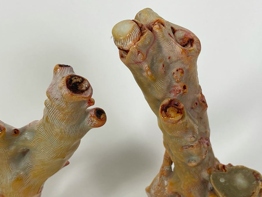 Pair Of Real Organic Pink Coral Sculptures Pieces [Photo 18]