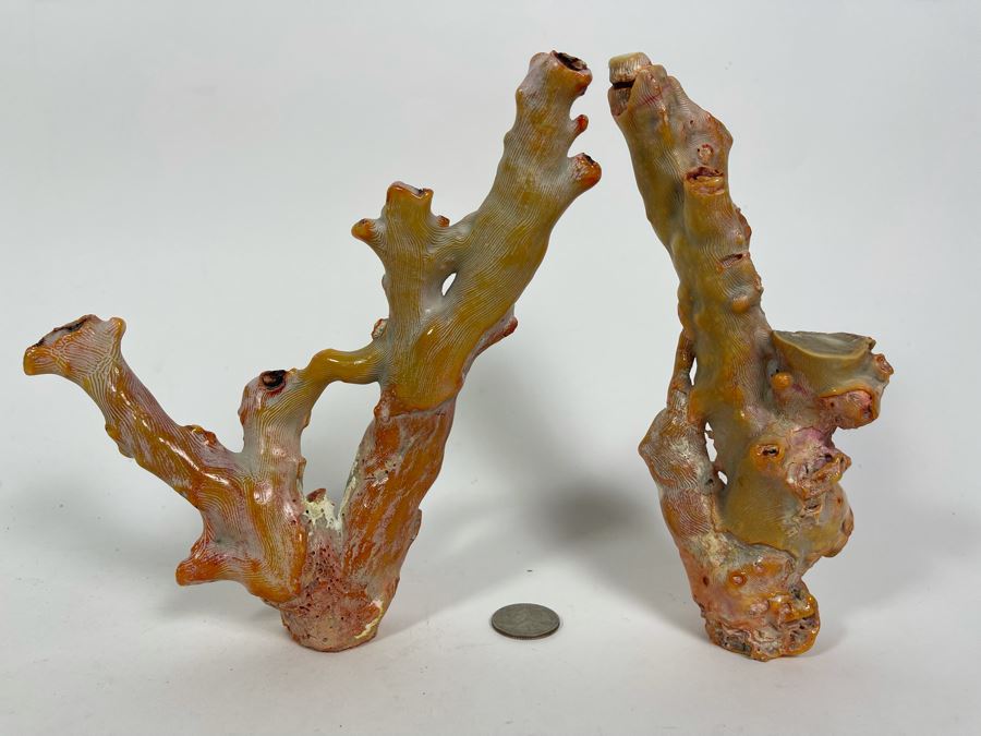 Pair Of Real Organic Pink Coral Sculptures Pieces [Photo 15]