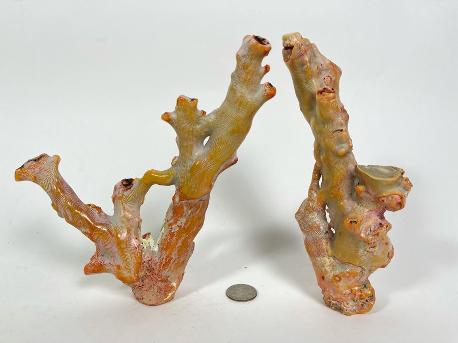 Pair Of Real Organic Pink Coral Sculptures Pieces [Photo 14]